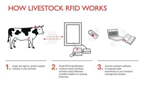 animal tracking rfid tags|livestock tagging system.